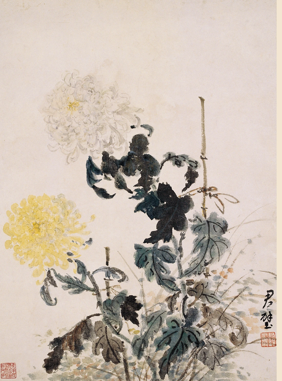 方君璧《菊花》